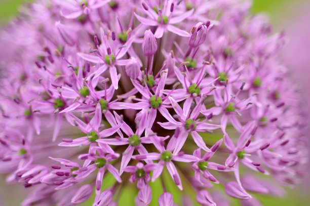 男生喜欢你的信号,怎么判断男生爱不爱你