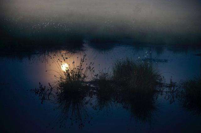 适合发朋友圈说晚安的句子