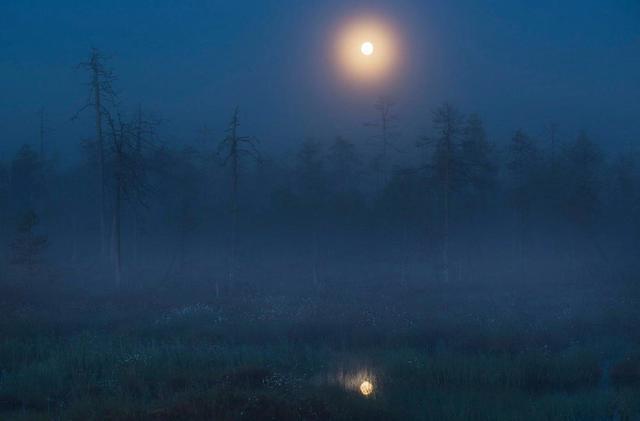 适合发朋友圈说晚安的句子