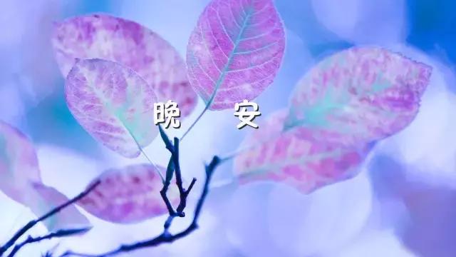 晚安心语语录 晚安经典优美的语句