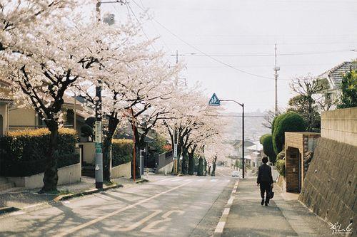 唯美好听的早安爱情心语句子