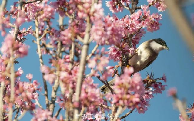 简短一句话早安心语 早上吸引朋友圈的句子