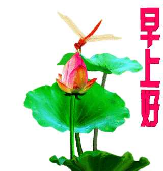 早安问候语大全 朋友圈早安祝福语