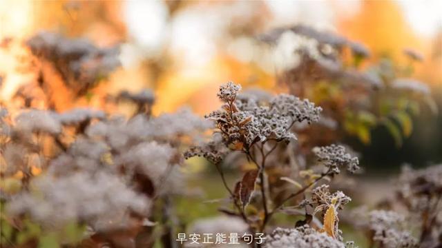 发朋友圈早安心语 早上吸引朋友圈的句子