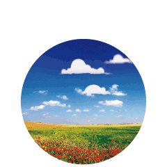 清晨早安心语说说 朋友圈早安问候语