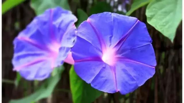 微信朋友圈早安情感心语 精美早安语句