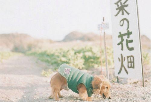 唯美好听的早安爱情心语句子