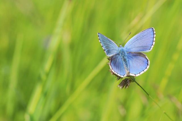 做到以下这六点，你就能成功挽回一段失去的感情