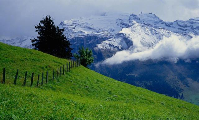 简短的早安心语励志语录，经典正能量，让你满血复活！