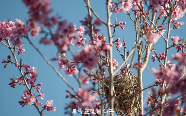 简短一句话早安心语 早上吸引朋友圈的句子