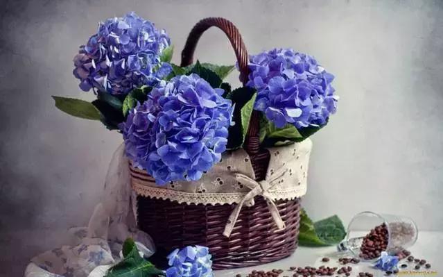 最美晚安说说短句 晚安心语语录唯美