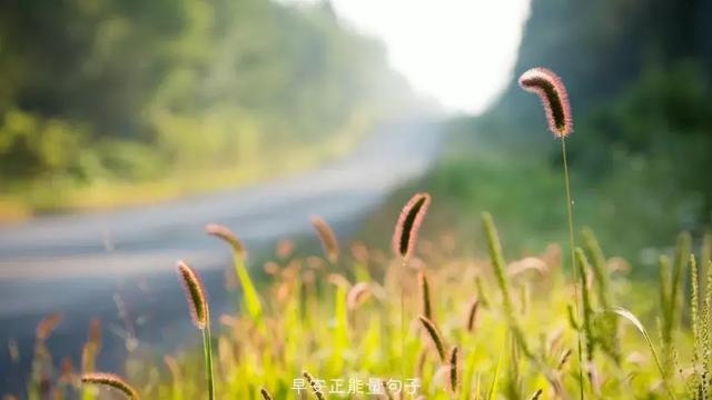 早上吸引朋友圈的句子