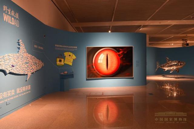 .艺术展   
