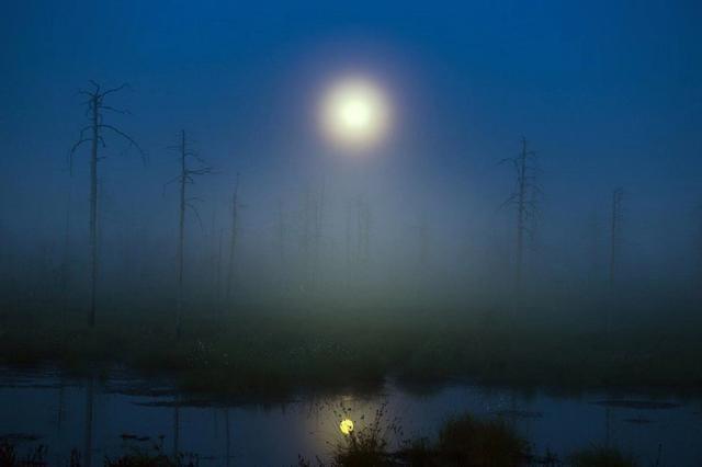 适合发朋友圈说晚安的句子