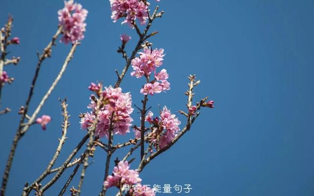 简短一句话早安心语 早上吸引朋友圈的句子