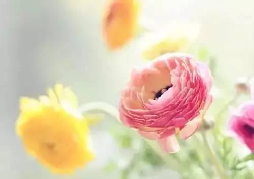 早安心语爱情 早安分享爱情语录