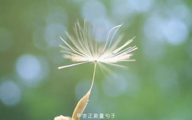 早上吸引朋友圈的句子 早安心语励志的语句