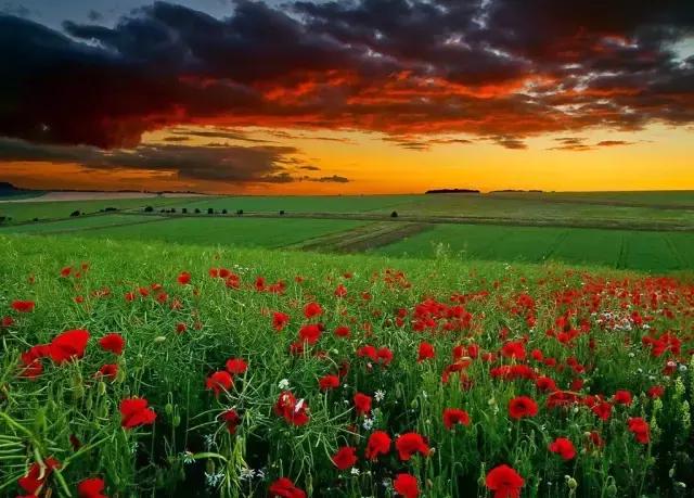 微信睡前说晚安正能量说说的句子