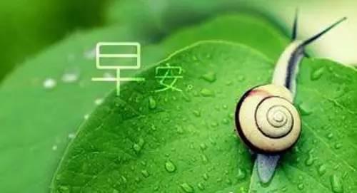 朋友圈早安心语正能量的问候语