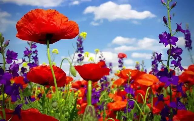 微信朋友圈早安情感心语 精美早安语句