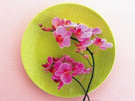 能让女生感动的情话，唯美暖心，比糖还要甜！