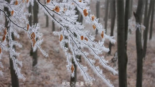 发朋友圈早安心语 早上吸引朋友圈的句子