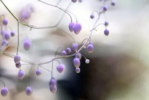 2018晚安心语优美的句子大全 最美晚安情感正能量简短句子