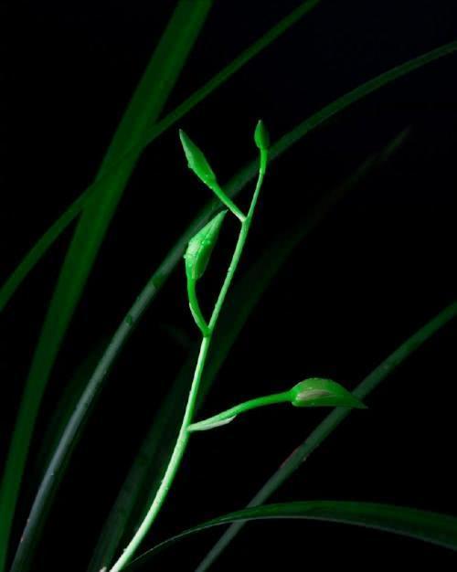 朋友圈晚安的心情说说，经典有深度，适合睡前思考！