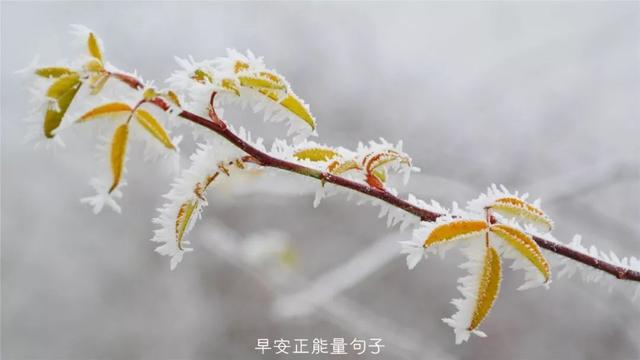 发朋友圈早安心语 早上吸引朋友圈的句子