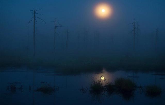 适合发朋友圈说晚安的句子