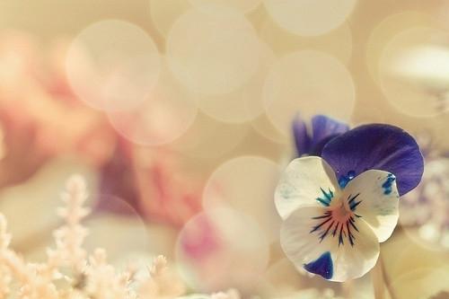 浪漫表白的句子、送给暗恋的人