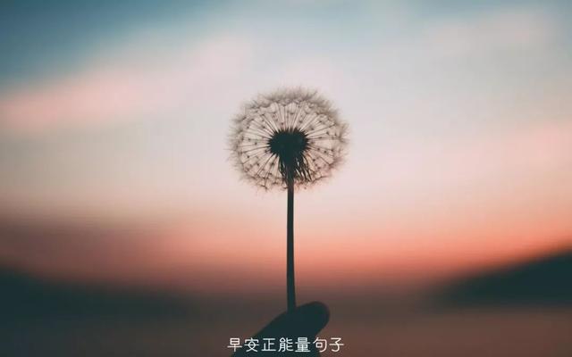 早上吸引朋友圈的句子 早安心语励志的语句