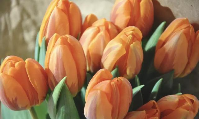 一个人痛苦心累签名的句子，心累了的感情句子签名