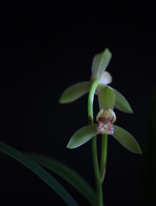 朋友圈晚安的心情说说，经典有深度，适合睡前思考！