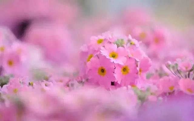 微信朋友圈早安情感心语 精美早安语句