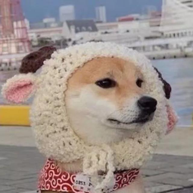 这些情侣日常超甜！单身慎入