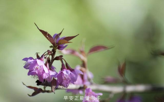 简短一句话早安心语 早上吸引朋友圈的句子