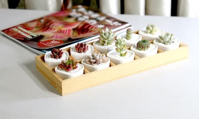 六月抖音最火套路情话，深情感人，表白专用