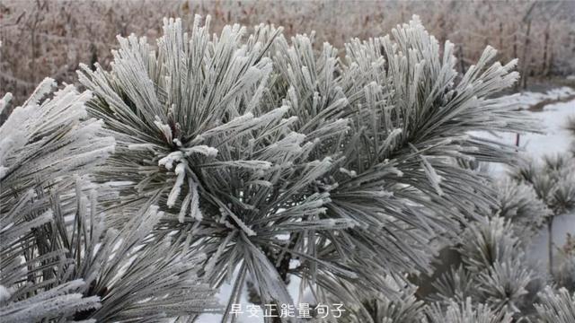 发朋友圈早安心语 早上吸引朋友圈的句子