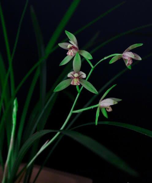 朋友圈晚安的心情说说，经典有深度，适合睡前思考！